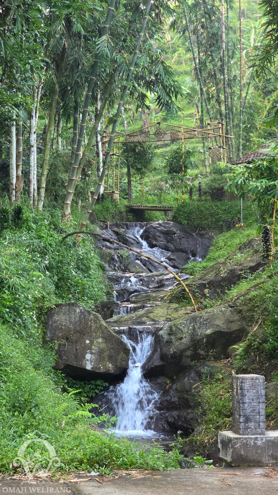 Pemandangan Hijau Pacet